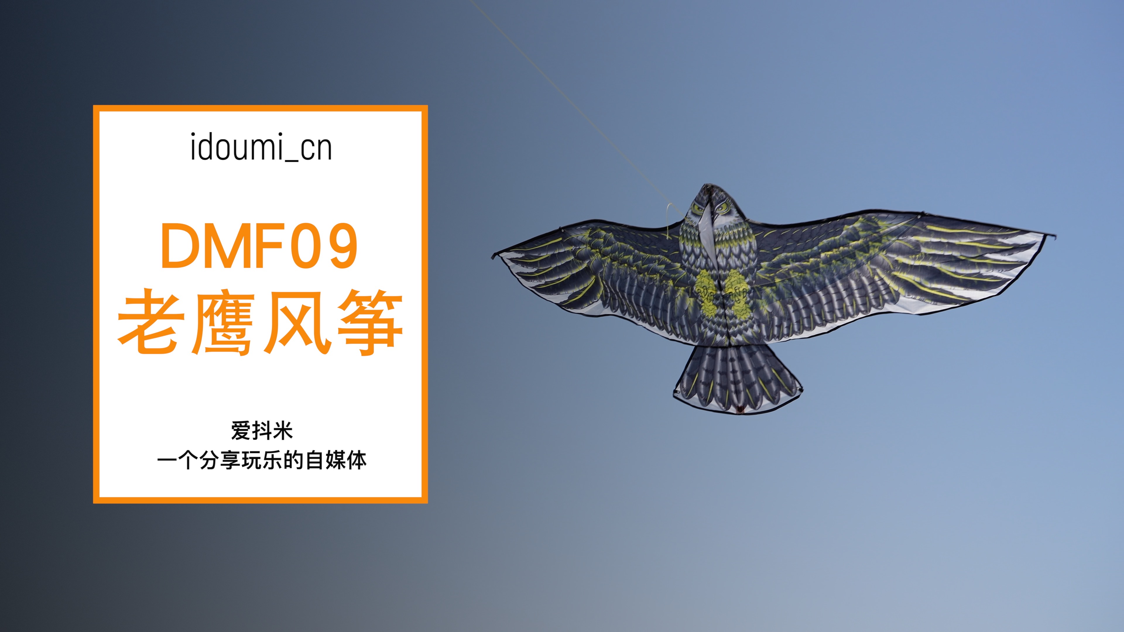 DMF9 老鹰来了