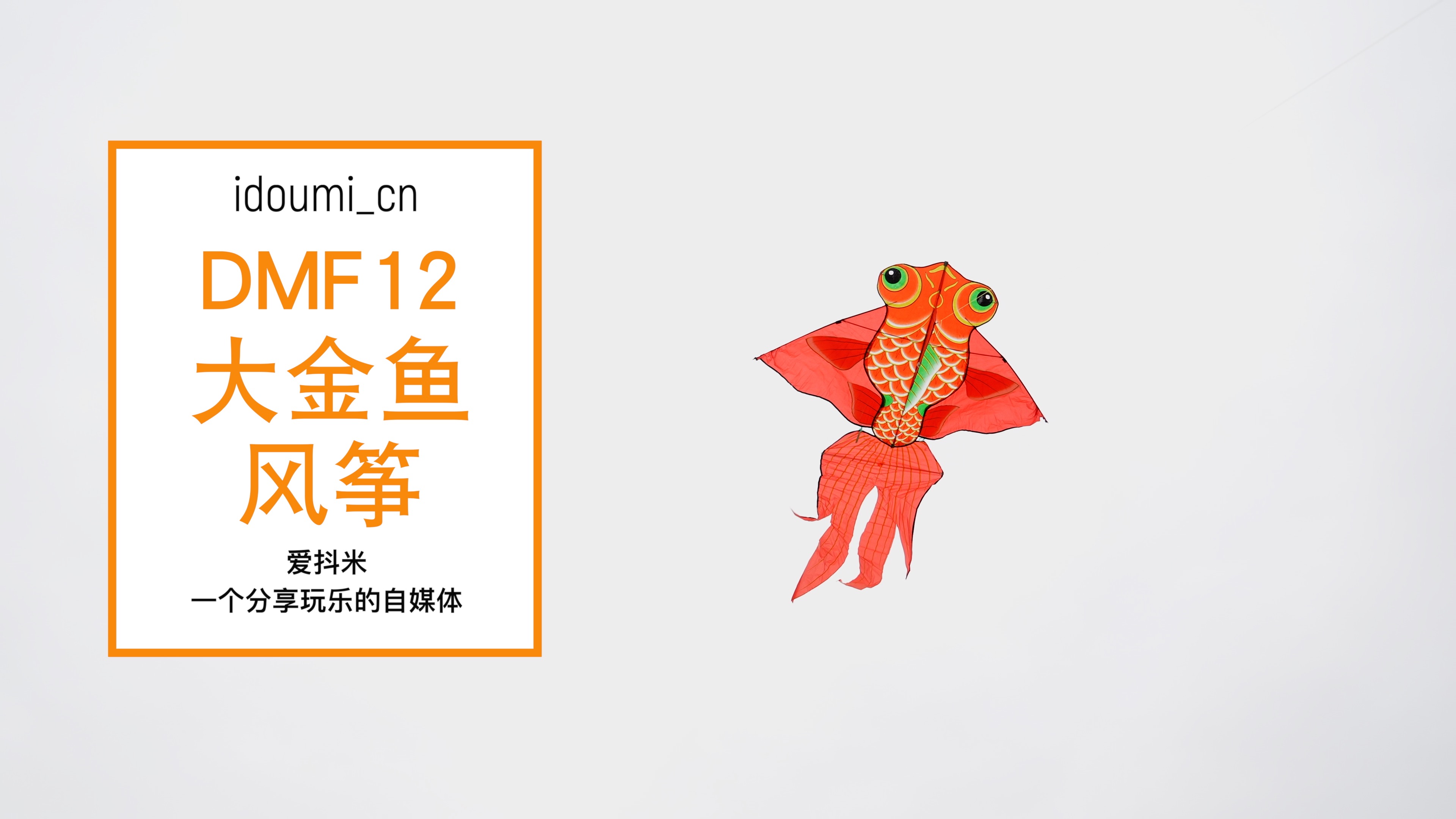 DMF12 大金鱼风筝,年年有余